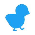 custom_website