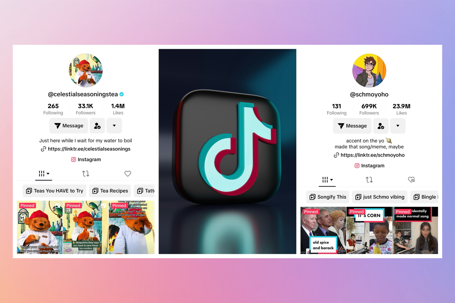 TikTok Bio